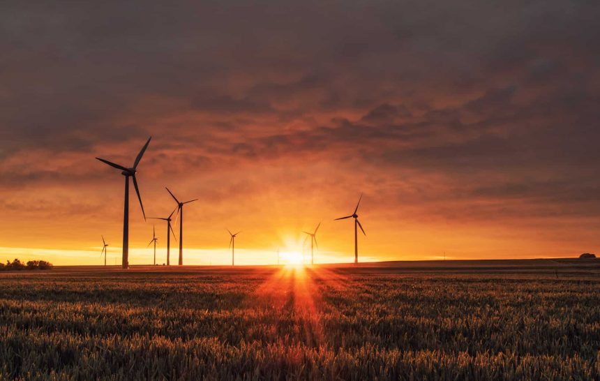 Comment concilier agriculture et environnement&thinsp;?